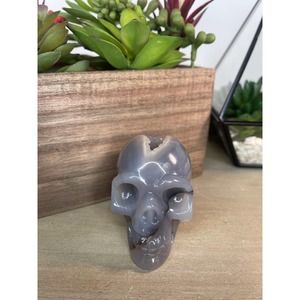 Druzy Agate Skull Carving Druzy Pocket Polished Crystal